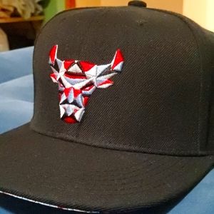 NBA bulls flat Cap.